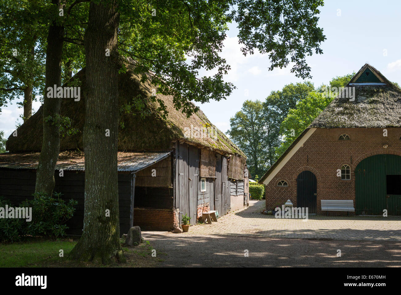 Traditionellen sächsischen Bauernhof mit einem Strohdach und eine Scheune in Gees (Provinz Drenthe) in den Niederlanden Stockfoto
