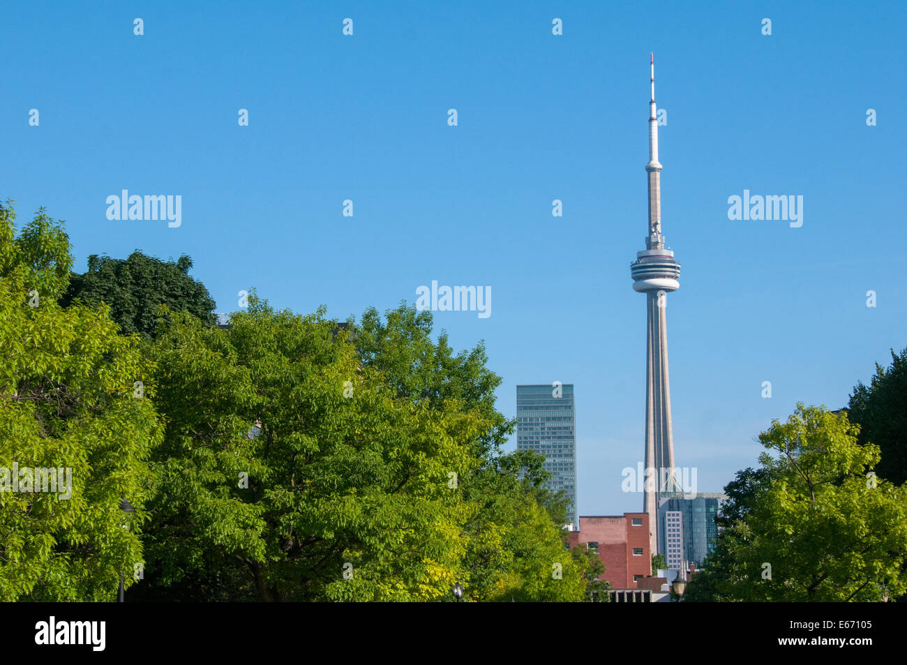 CN Tower und Teil des Campus der University of Toronto Stockfoto