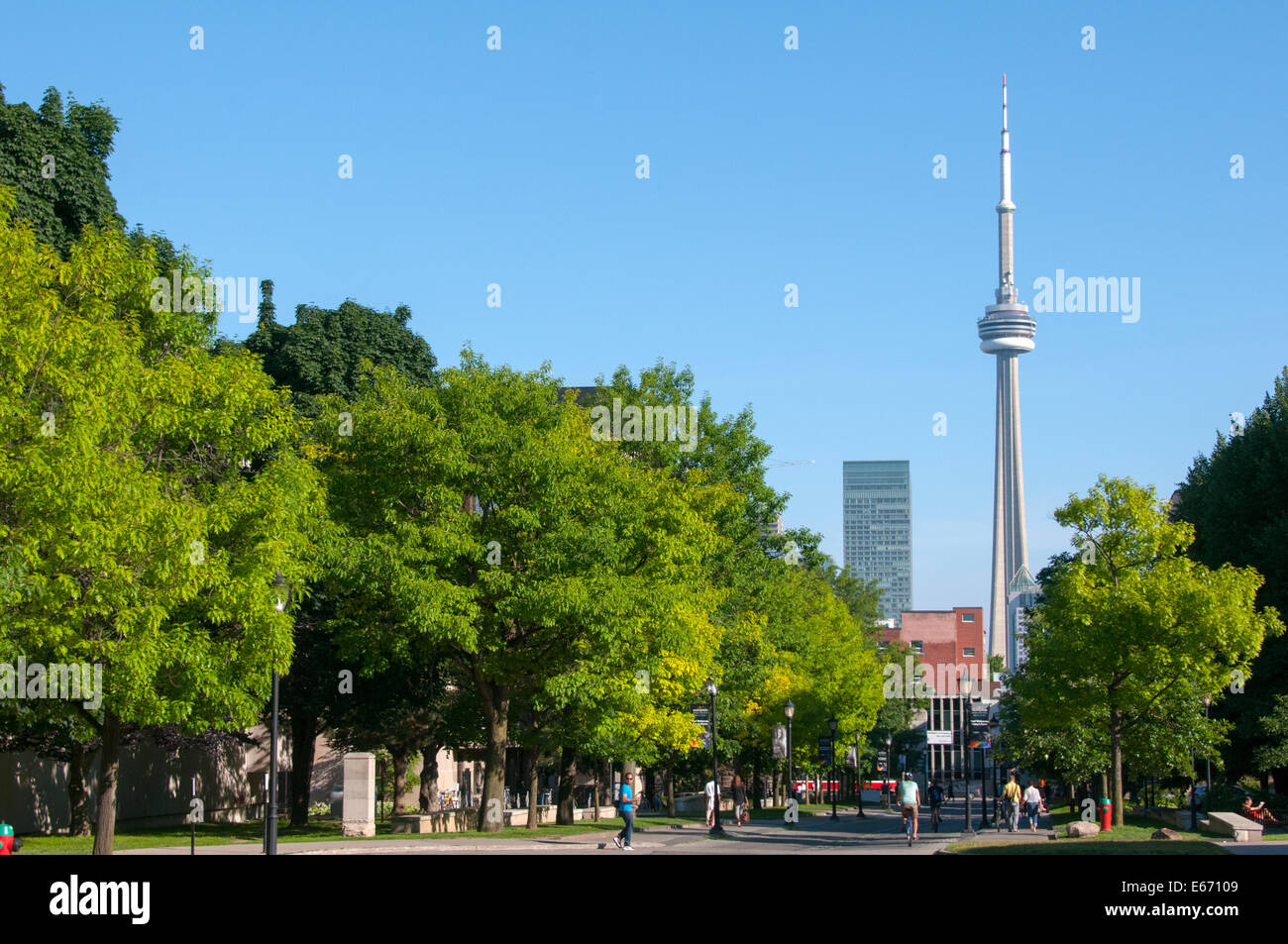 CN Tower und Teil des Campus der University of Toronto Stockfoto