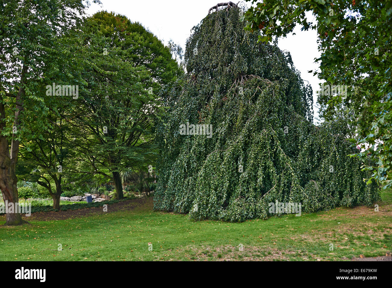 Hyde Park ist einer der größten Parks in London, und einer der königlichen Parks of London, berühmt für seine Speakers' Corner Stockfoto