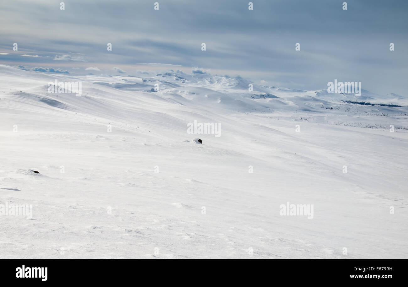 Winter-Berglandschaft. Huldraheimen, Gausdal Westfjel, Norwegen. Stockfoto