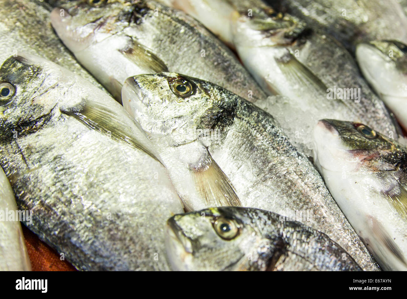 Fisch auf einen Fisch stand auf dem Gewürzmarkt in Istanbul Stockfoto