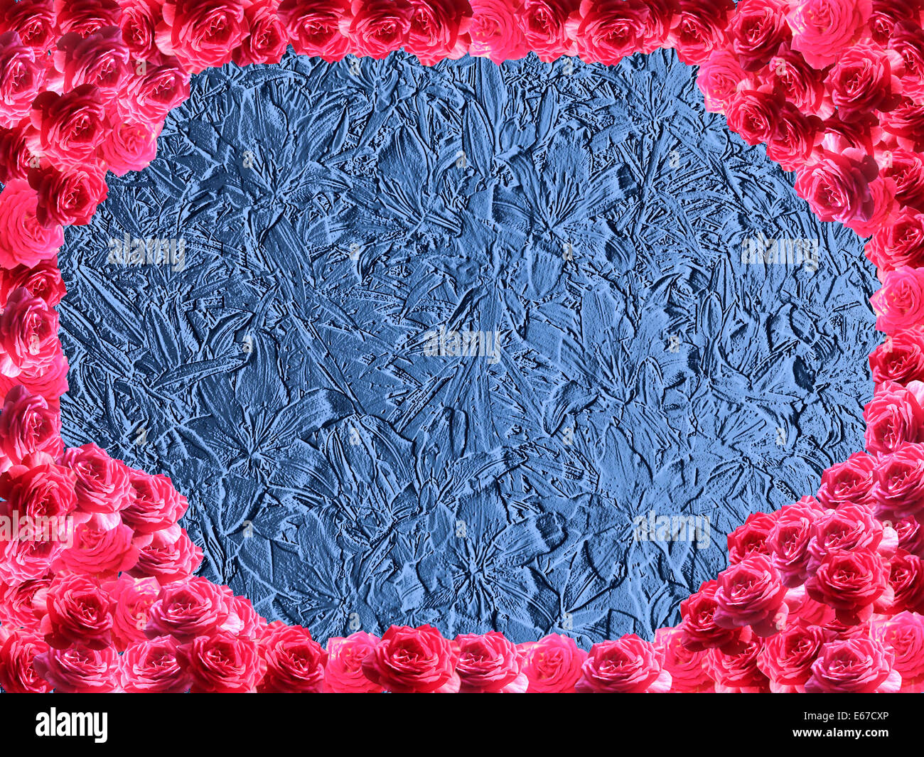 ungewöhnliche Rahmen aus Rosen auf blauem Hintergrund Stockfoto
