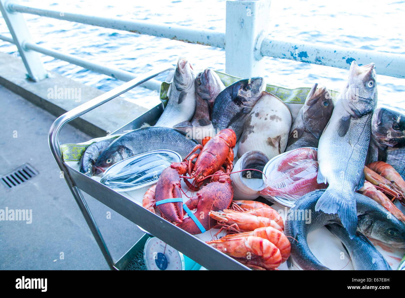 Fisch zum Verkauf in einem Restaurant am Galata Brücke Istanbul Stockfoto