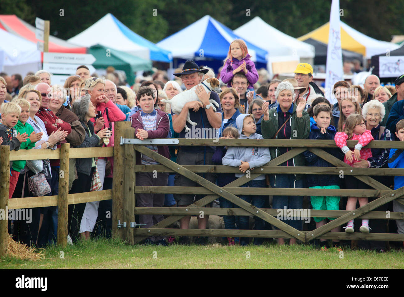 Buckham Messe, Beaminster, Dorset, UK. 17. August 2014. Martin Clunes Uhren der Clydsdale Heavy Horses Buckham Fair Pony und Hund zeigen auf seiner Farm in Dorset. Martin und Philippa Clunes begann die Messe 2008 um Mittel für lokale Wohltätigkeitsorganisationen zu erhöhen. Es hat im Laufe der Jahre entwickelt und enthält jetzt eine schwere Pferde-Show, Oldtimer-Fahrzeugen und Fahrgeschäften neben der ursprünglichen Hund und Pony Show. Bisher hat die Messe über £112.000 im Laufe der Jahre für lokale wohltätige Zwecke gesammelt. Bildnachweis: Tom Corban/Alamy Live-Nachrichten Stockfoto