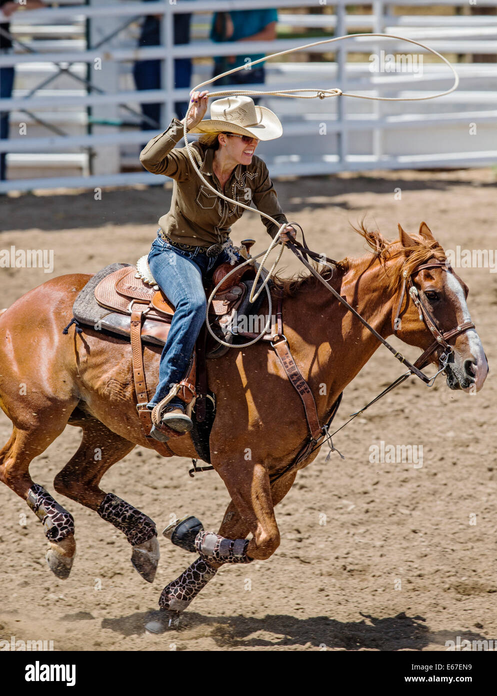 Cowgirl auf dem Pferderücken konkurriert in der Tie-Down Abseilen Veranstaltung Chaffee County Fair & Rodeo Stockfoto