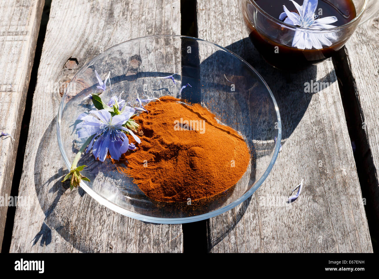 Chicoree-Pulver auf Teller mit Chicorée Blumen und Chicorée trinken im Cup auf hölzerne Schreibtische Stockfoto