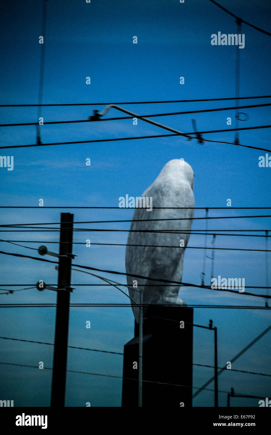 Der Adler - Rückansicht der Riesenvogel Skulptur von Bruce Armstrong, Melbourne Australien Stockfoto