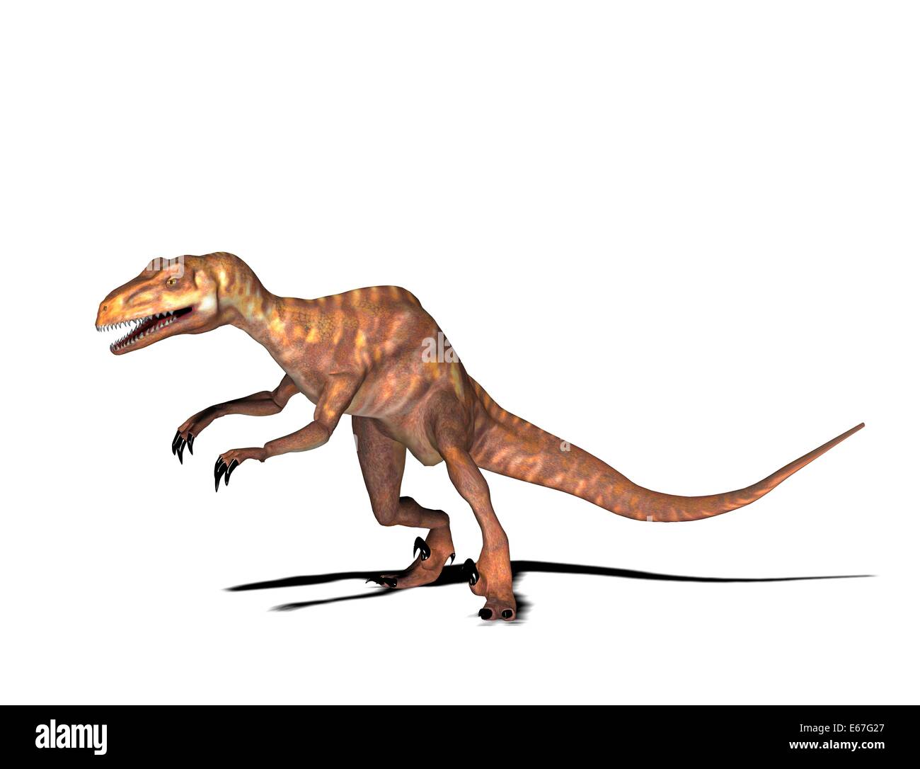 Dinosaurier Deinonychus / Dinosaurier Deinonychus Stockfoto