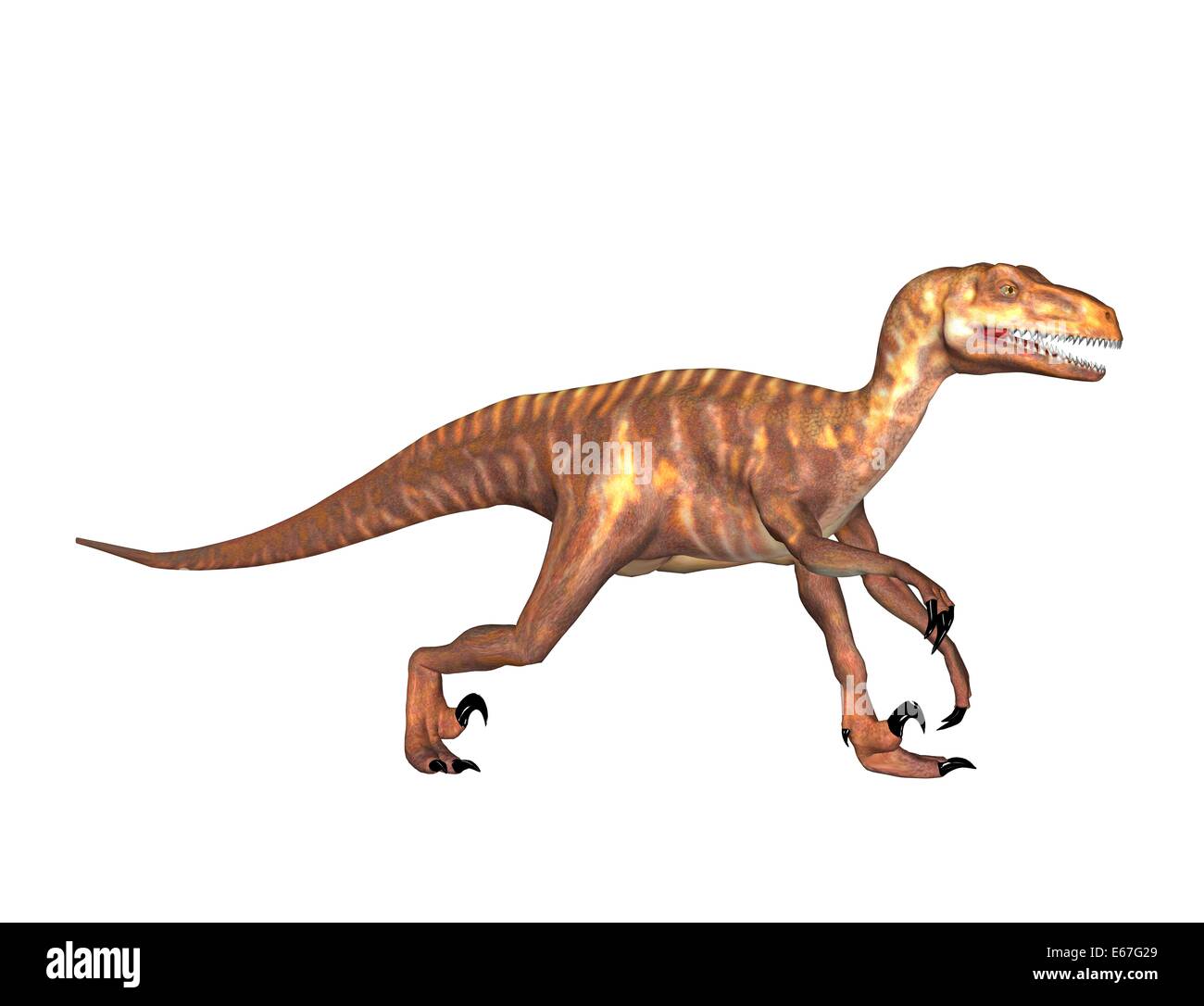 Dinosaurier Deinonychus / Dinosaurier Deinonychus Stockfoto