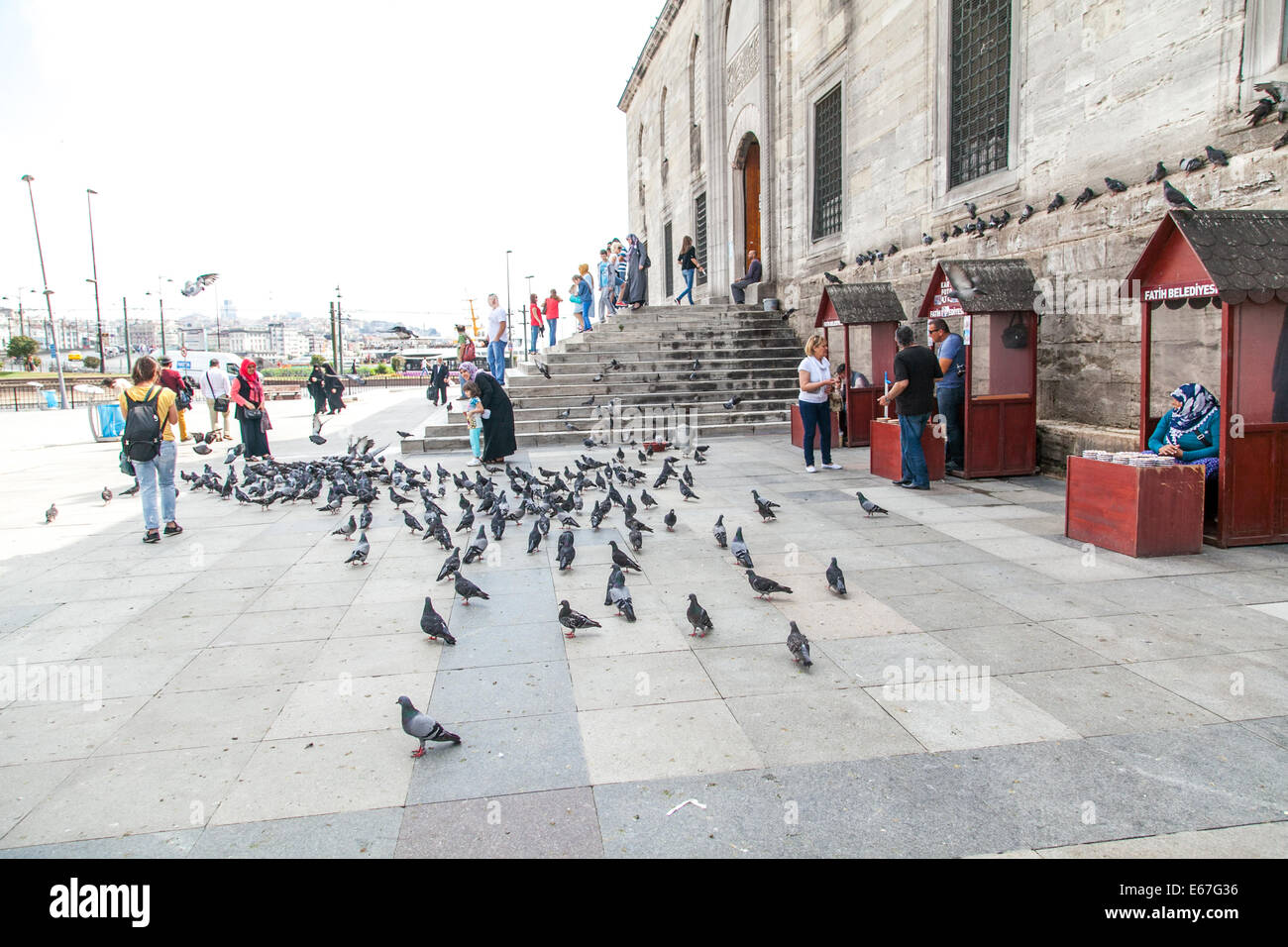 Füttern der Tauben vor Yeni Moschee durch den Gewürzmarkt in Istanbul Stockfoto