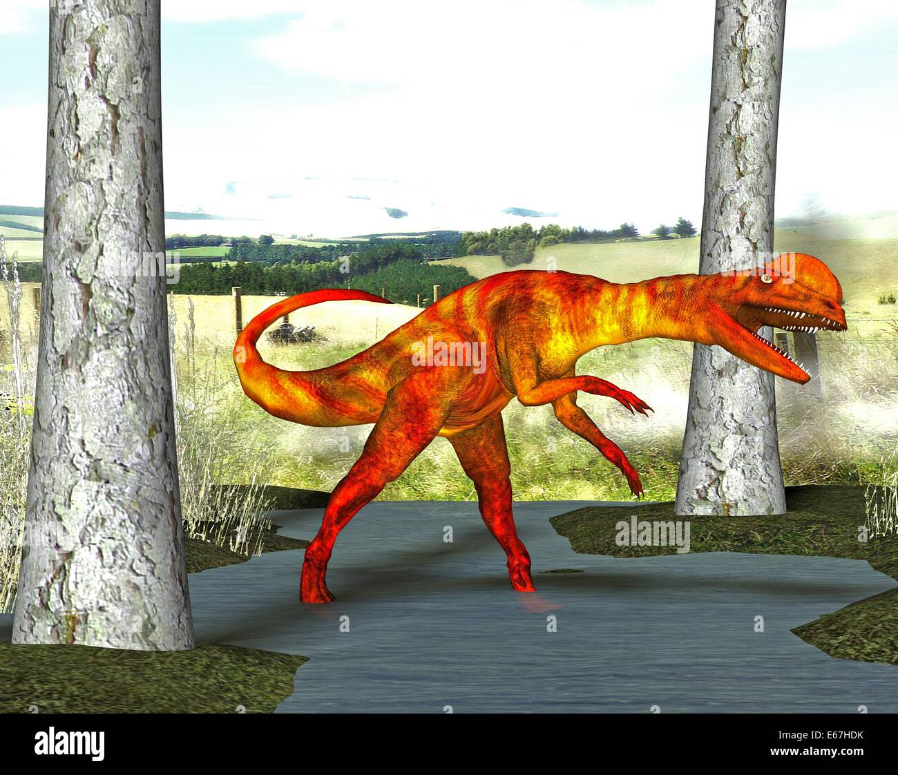 Dinosaurier Dilophosaurus / Dilophosaurus Dinosaurier Stockfotografie