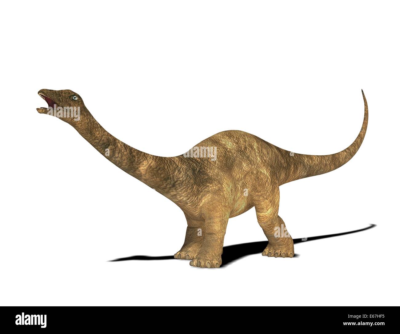 Diplodocus Dinosaurier Stockfotos Und Bilder Kaufen Alamy