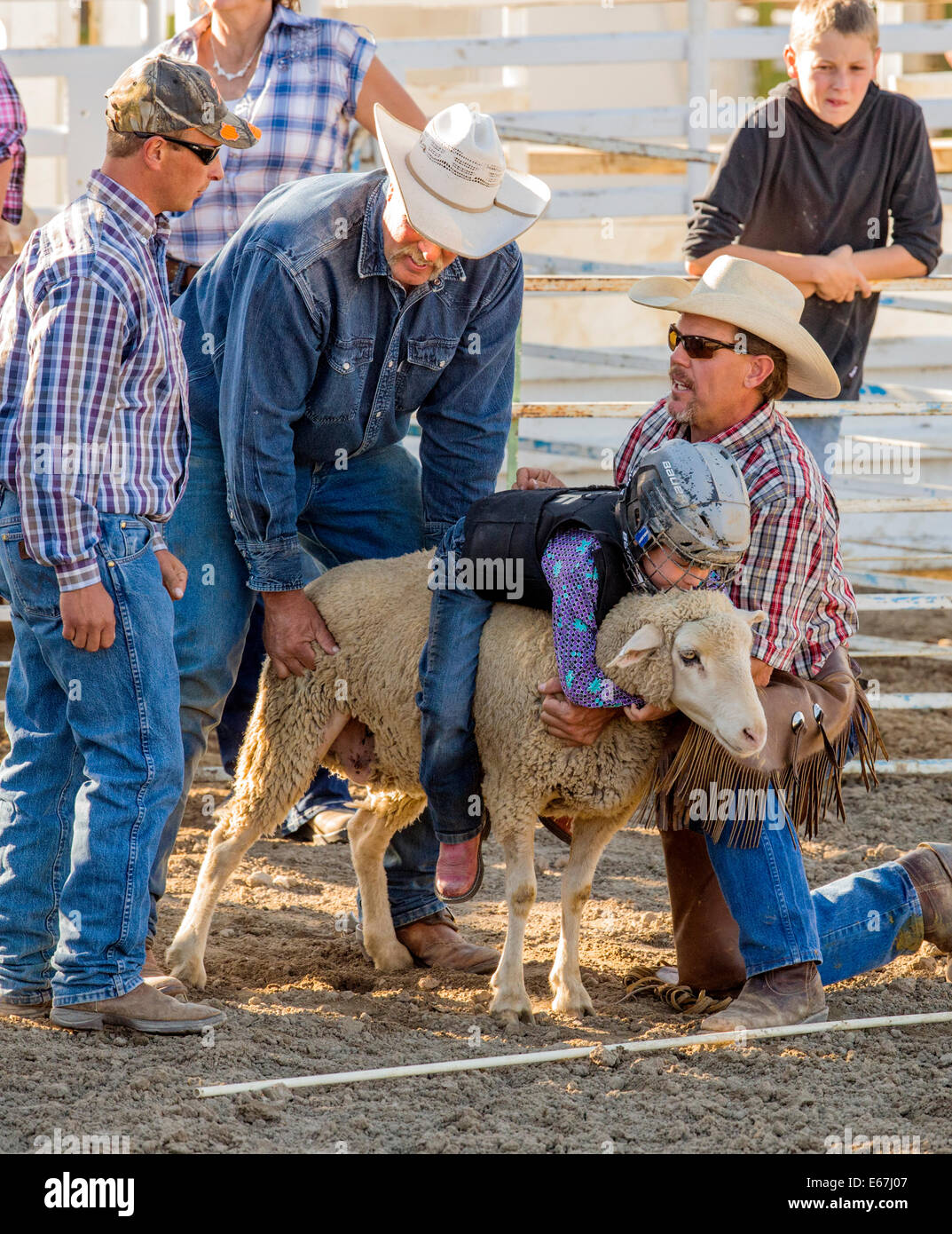 Kleines Kind ein Schaf in der Hammel Zerschlagung Wettbewerb Veranstaltung, Chaffee County Fair & Rodeo Reiten Stockfoto
