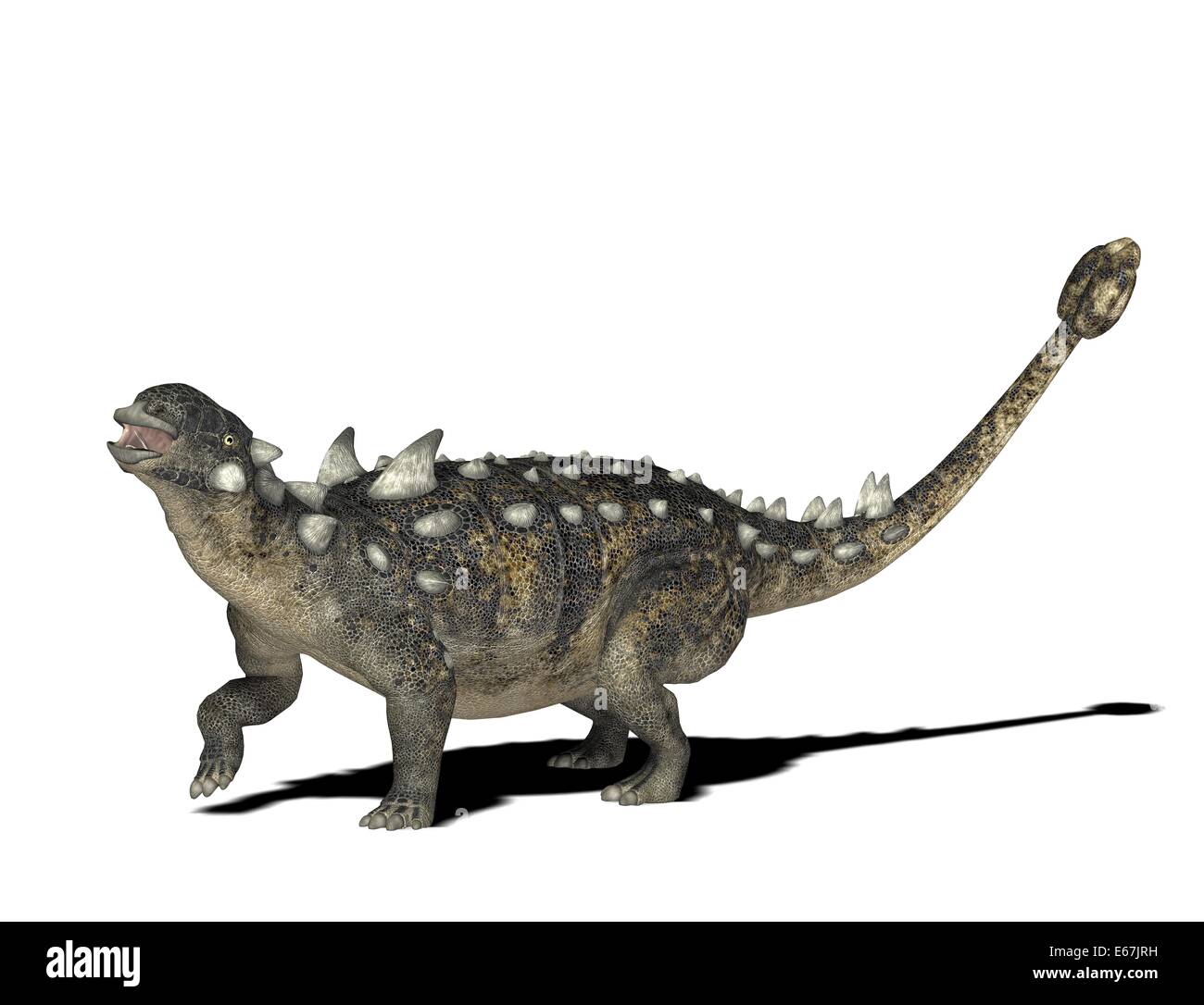 Dinosaurier Euoplocephalus / Dinosaurier Euoplocephalus Stockfotografie