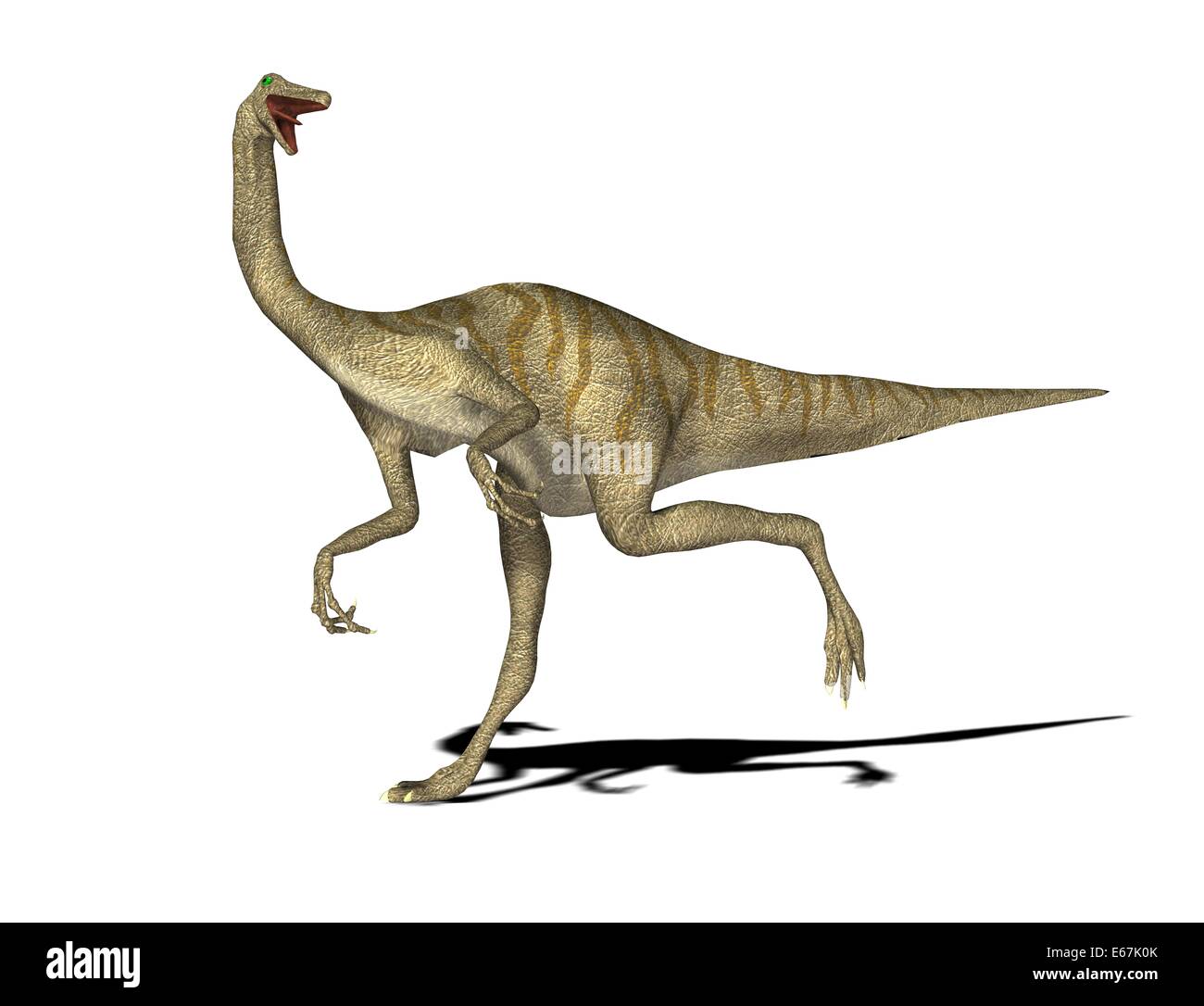 Dinosaurier Gallimimus / Dinosaurier Gallimimus Stockfoto