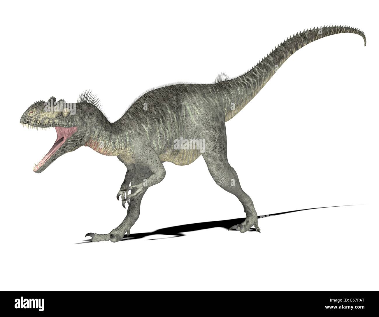 Dinosaurier Megalosaurus / Dinosaurier Megalosaurus Stockfoto