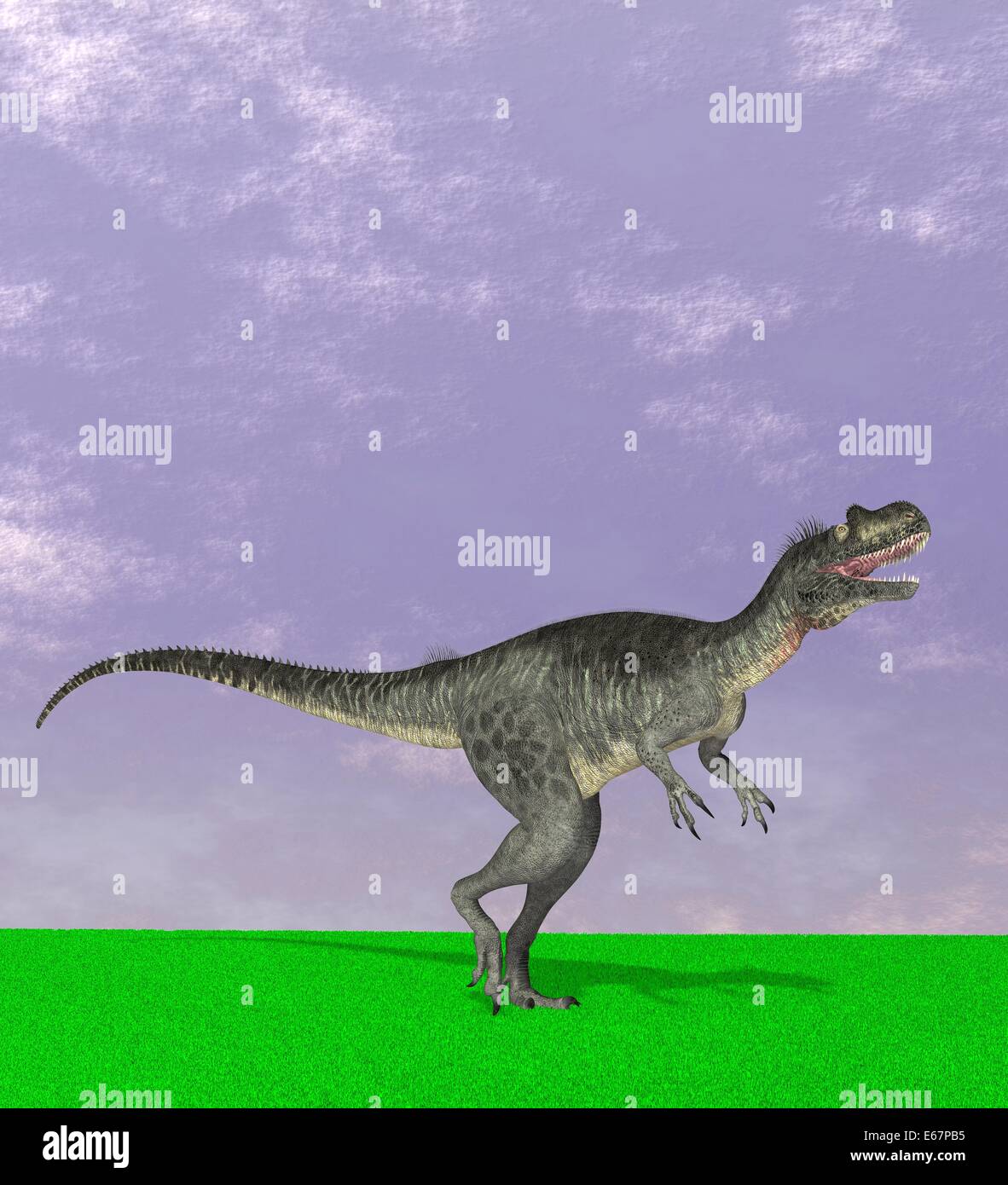 Dinosaurier Megalosaurus / Dinosaurier Megalosaurus Stockfoto