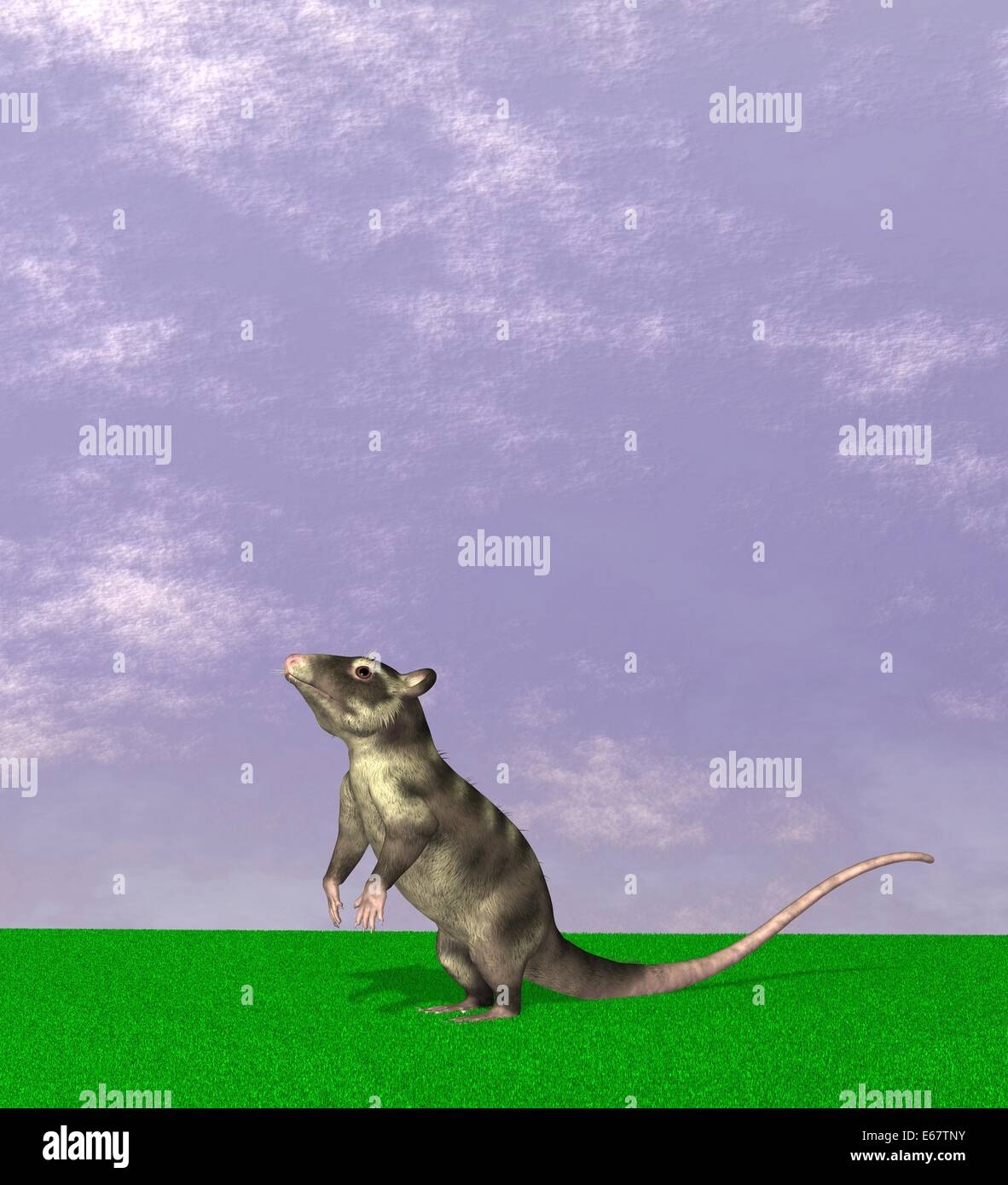 Pterodactylus / Pterodactylus Stockfotografie Alamy