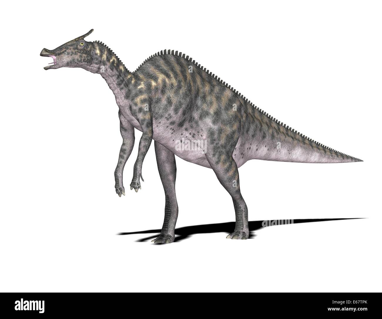 Dinosaurier Saurolophus   Dinosaurier Saurolophus Stockfotografie - Alamy