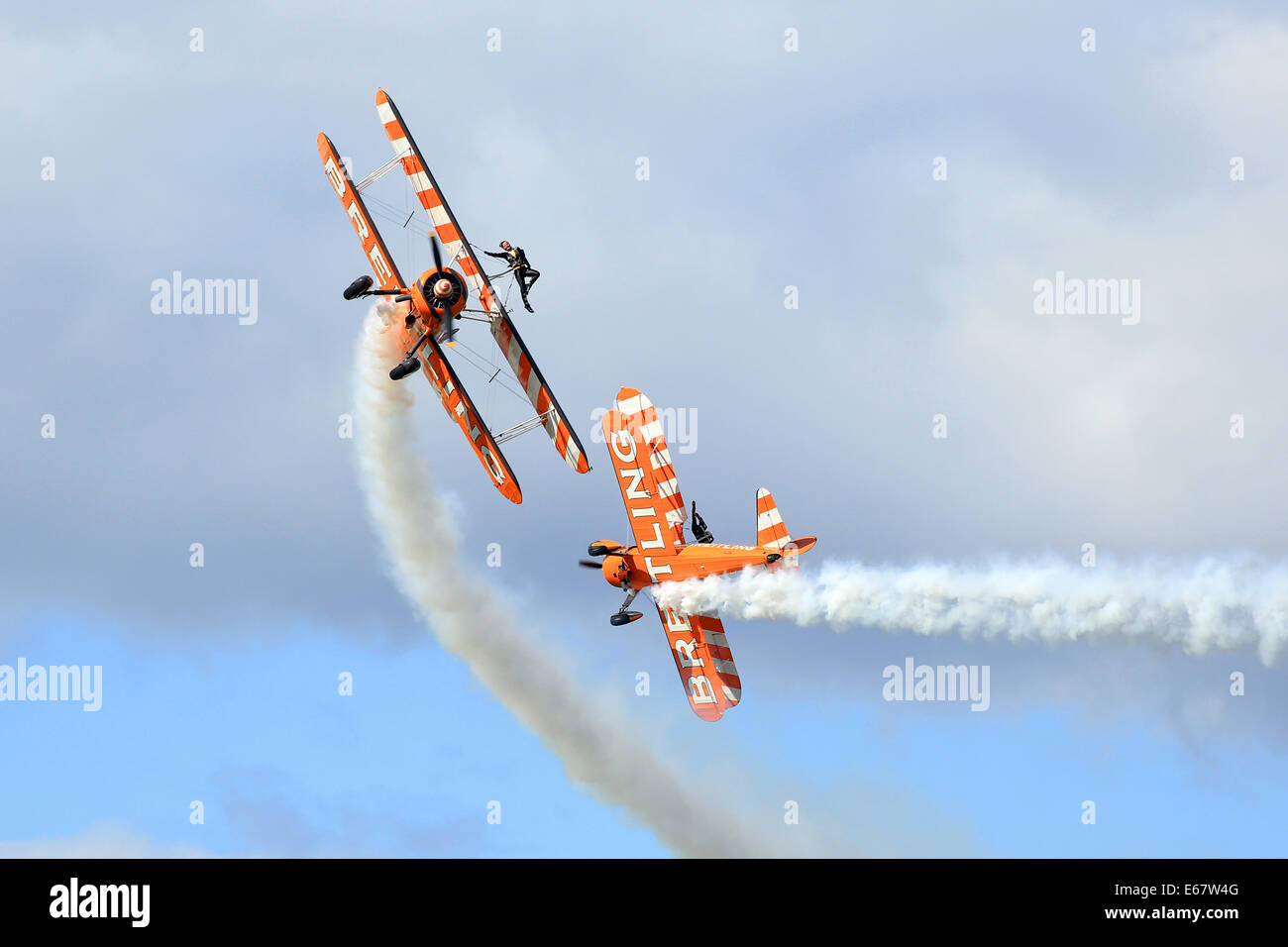 Pferderennbahn Ascot, Berkshire, UK. 17. August 2014. Bretling Wingwalkers abgebildet die Red Bull Air Race 2014 an Ascot Racecourse Surrey heute. Bildnachweis: Oliver Dixon/Alamy Live-Nachrichten Stockfoto