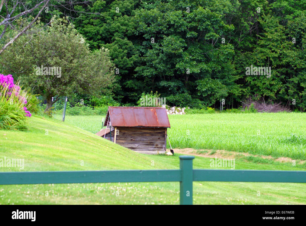 Altes Land Hund Haus in einem großen schönen Feld Stockfoto