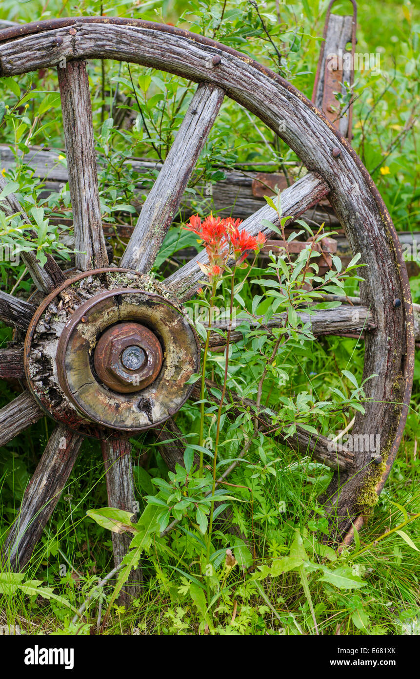 Alte hölzerne Pionier Wagenrad in der historischen alten gold Rush Stadt Barkerville, innen Britisch-Kolumbien, BC, Kanada. Stockfoto