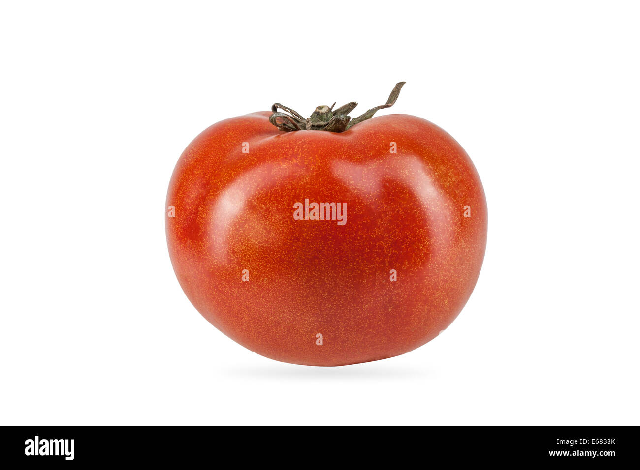 Frische Tomaten Stockfoto