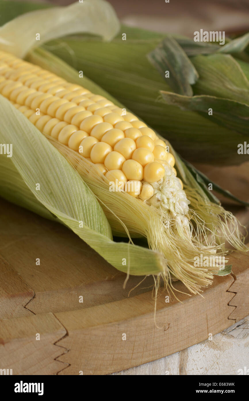 Frisch geernteter Mais oder Mais Ohren in ihren Schalen Stockfoto
