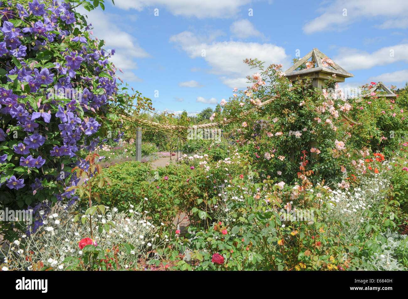 Die Gärten am Rosemoor, außerhalb von Torrington und in der Nähe von Bideford in der Grafschaft Devon, England, UK Stockfoto