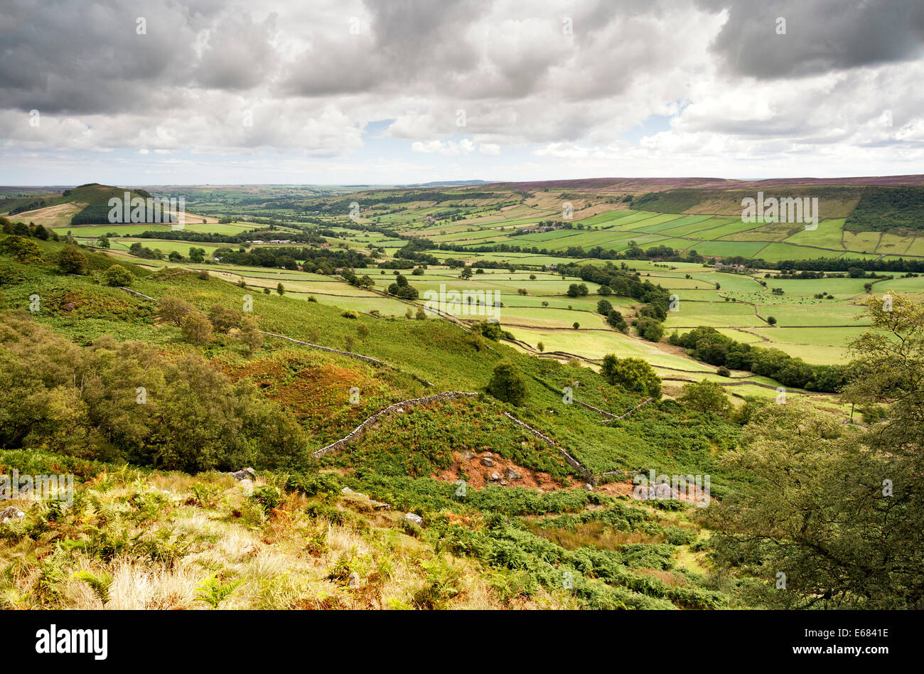 Mit Blick auf kleine Fryup Dale und Fee Cross-Plantage Stockfoto