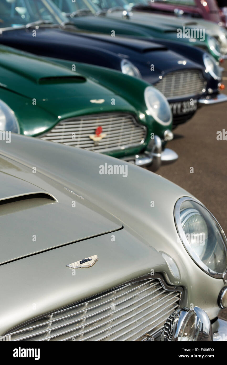 Linie der Vintage Aston Martin Autos bei der Silverstone Classic Stockfoto