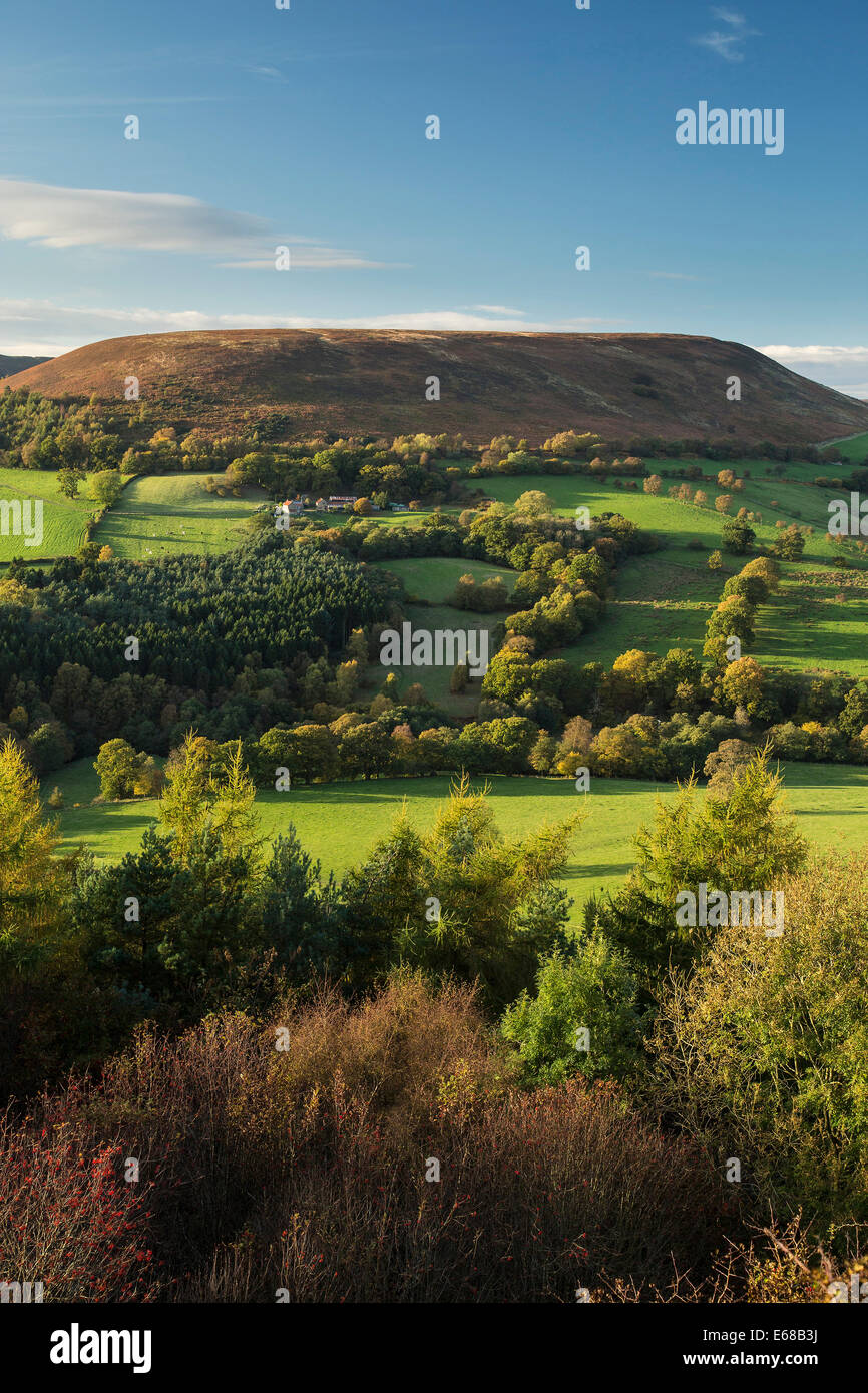 Easterside Hill, ESK, North York Moors National Park Stockfoto