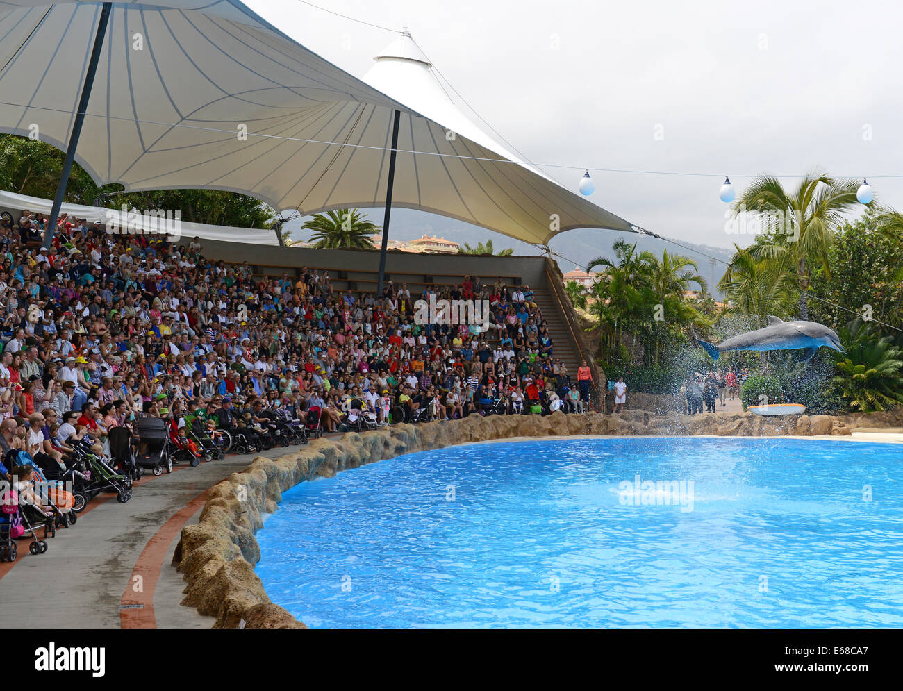 Loro Parque, Teneriffa, Kanarische Inseln, Touristen beobachten Delphin anzeigen Leistung, Loro Wildpark oder Zoo, Teneriffa, Spanien Stockfoto