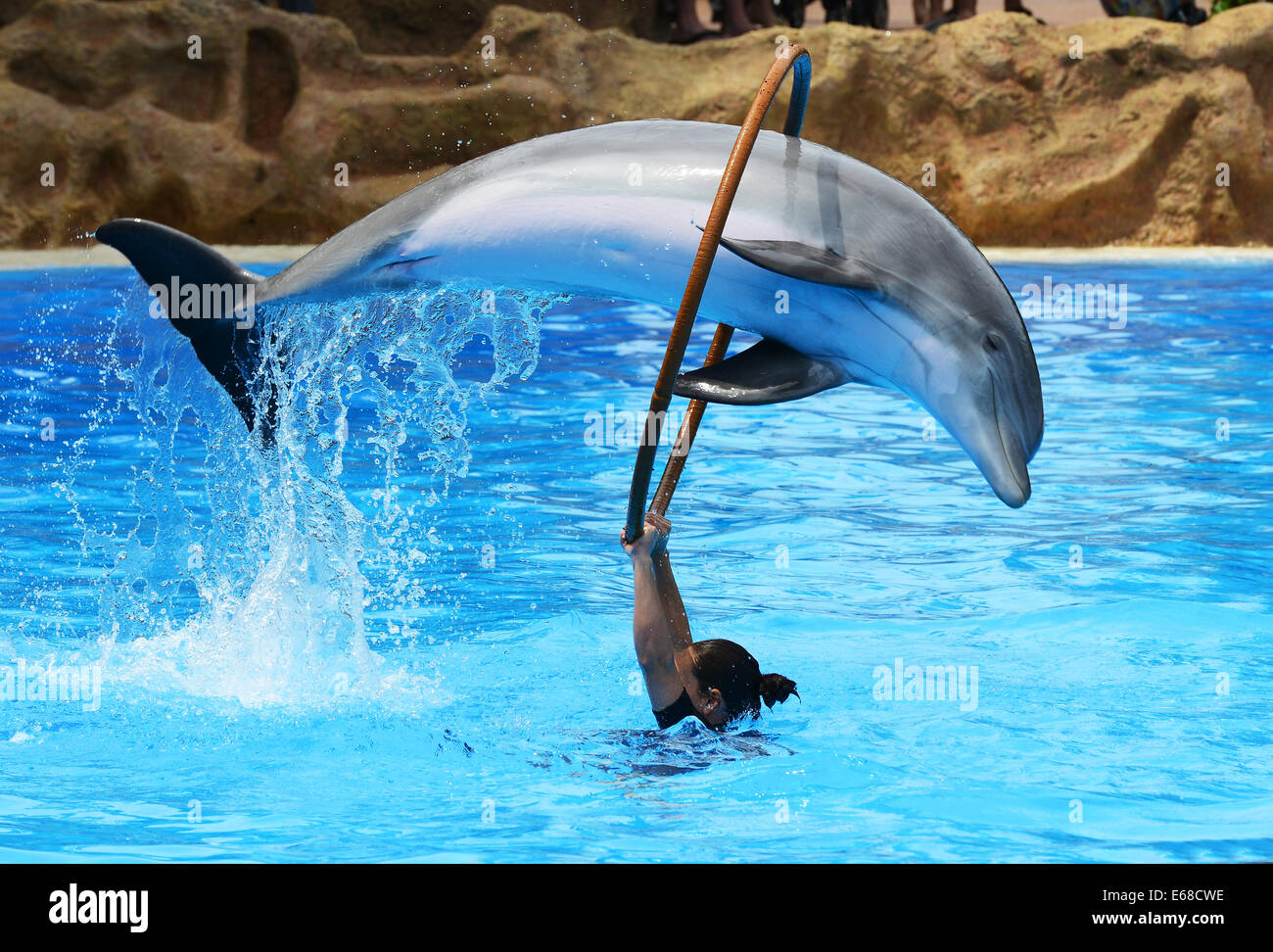 Loro Parque, Teneriffa, Kanarische Inseln, Touristen beobachten Delphin anzeigen Leistung, Loro Wildpark oder Zoo, Teneriffa, Spanien Stockfoto