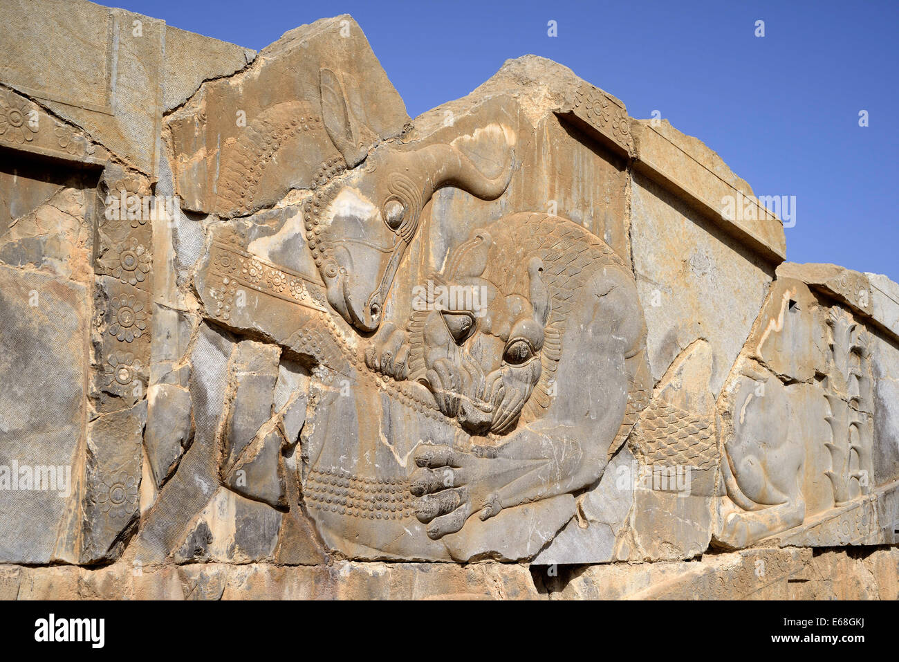 IRAN, Fars, Basrelief von Löwe und Stier zu bekämpfen, Palast von Darius, Apadana, Persepolis (Unesco World Heritage List, 1979), Iran. Stockfoto