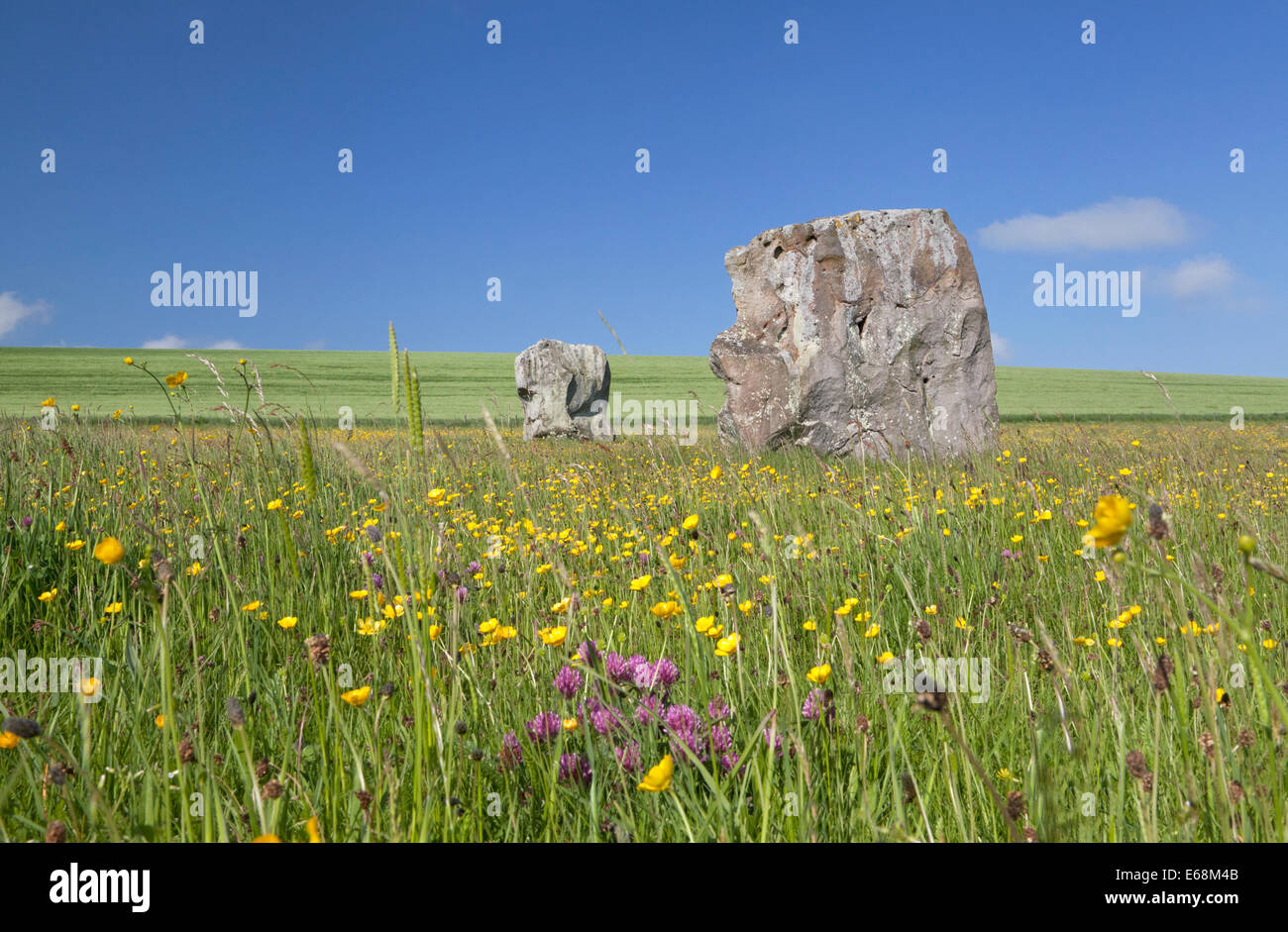 Stehenden Steinen, die Bestandteil der West Kennet "Avenue" in Avebury in Wiltshire, England. Stockfoto