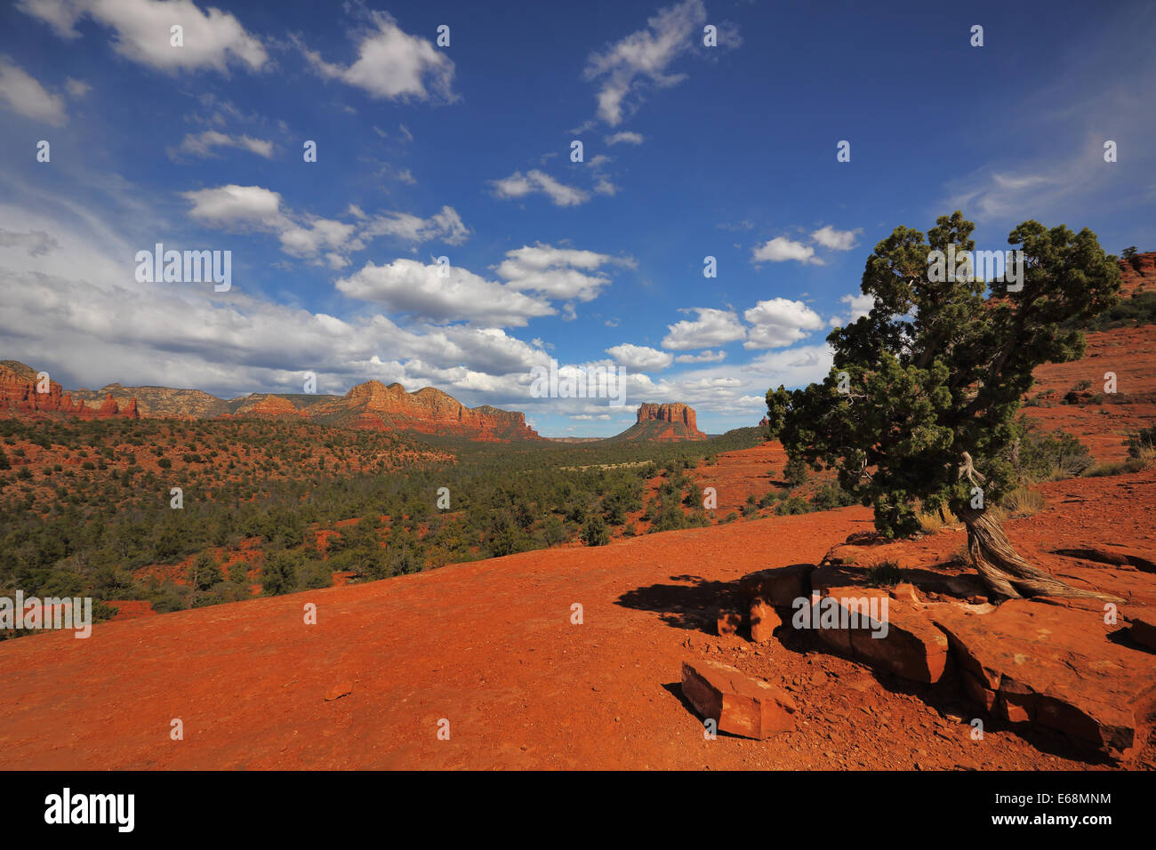 Die schönen roten Felsen von Sedona in der Wüste Südwesten von Arizona Stockfoto