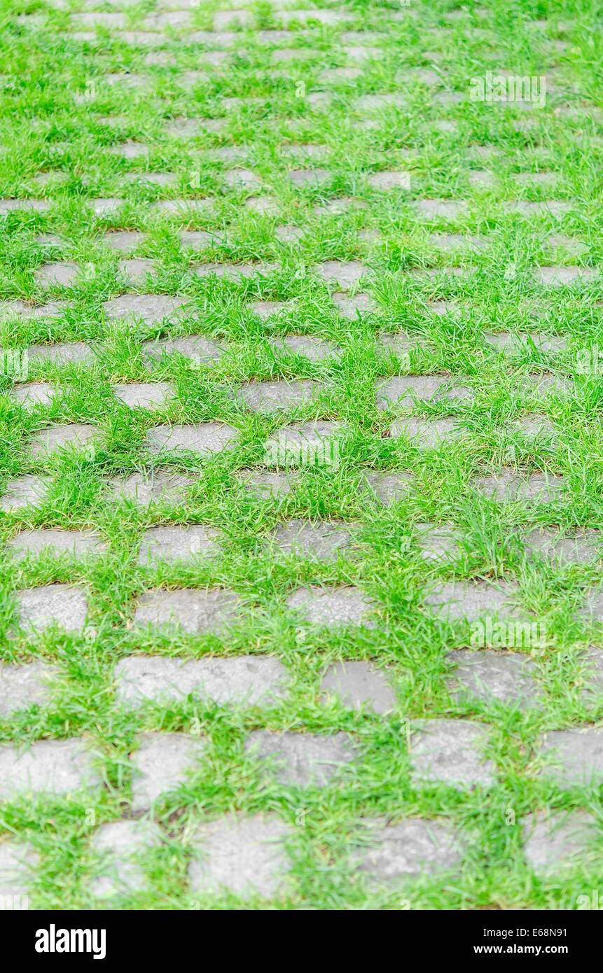 Pflaster-Steinen gepflastert und bewachsen mit Rasen Weg in den Wald erstreckt sich in die Ferne Stockfoto