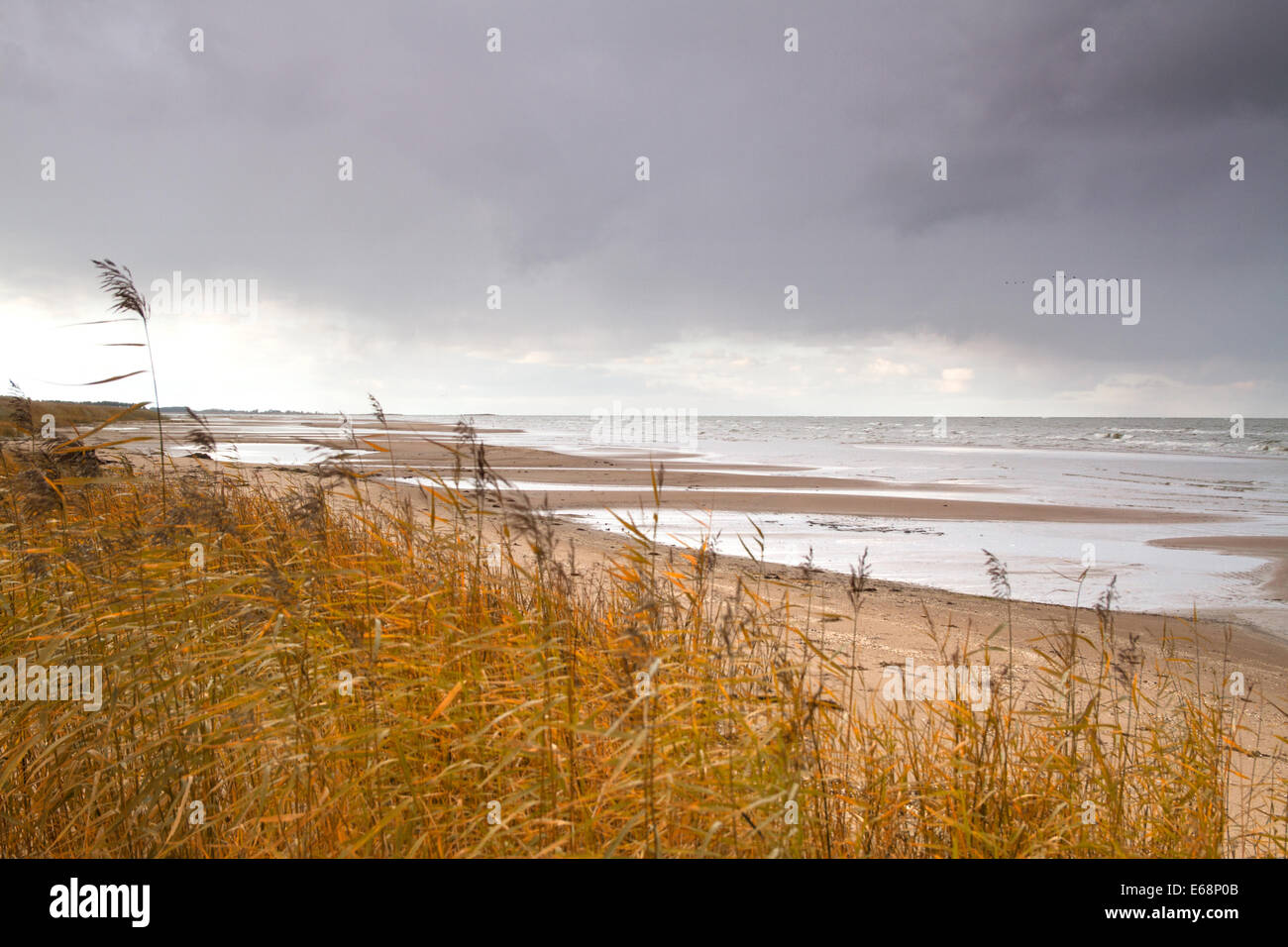 Herbst Strand der Ostsee Stockfoto