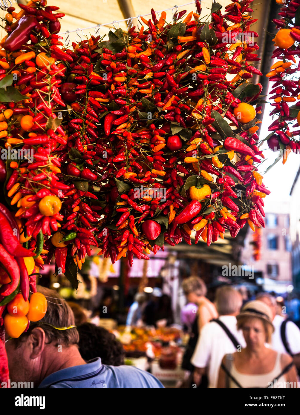Hängen Sie Anzeige der sortierten Chilischoten, Mercato di Rialto-Markt, Venedig, Italien. Stockfoto