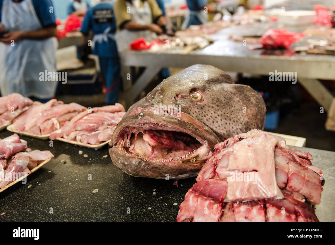 Fischer mit Fischkopf in Deira Fisch Markt Souk, Dubai, Vereinigte Arabische Emirate VAE. Stockfoto