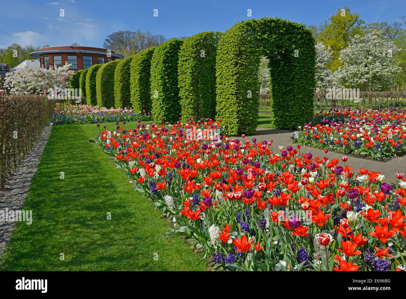 Keukenhof, Lisse, Südholland, Niederlande Stockfoto