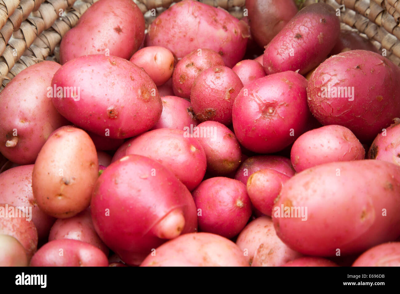 Nahaufnahme rote Kartoffeln in Korb Stockfoto