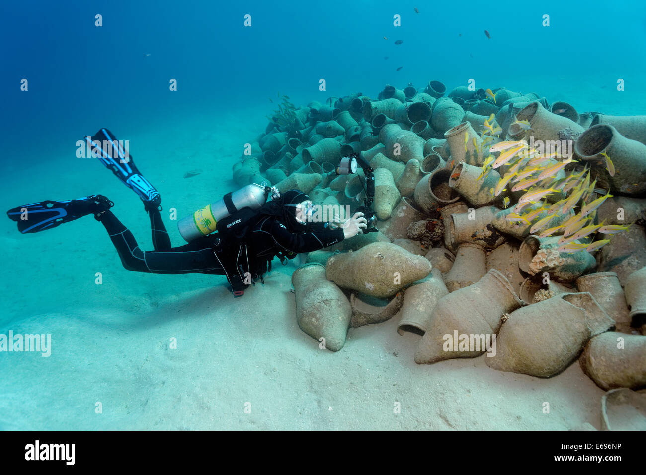 unterwasser-fotografen fotografieren fischschwarm auf