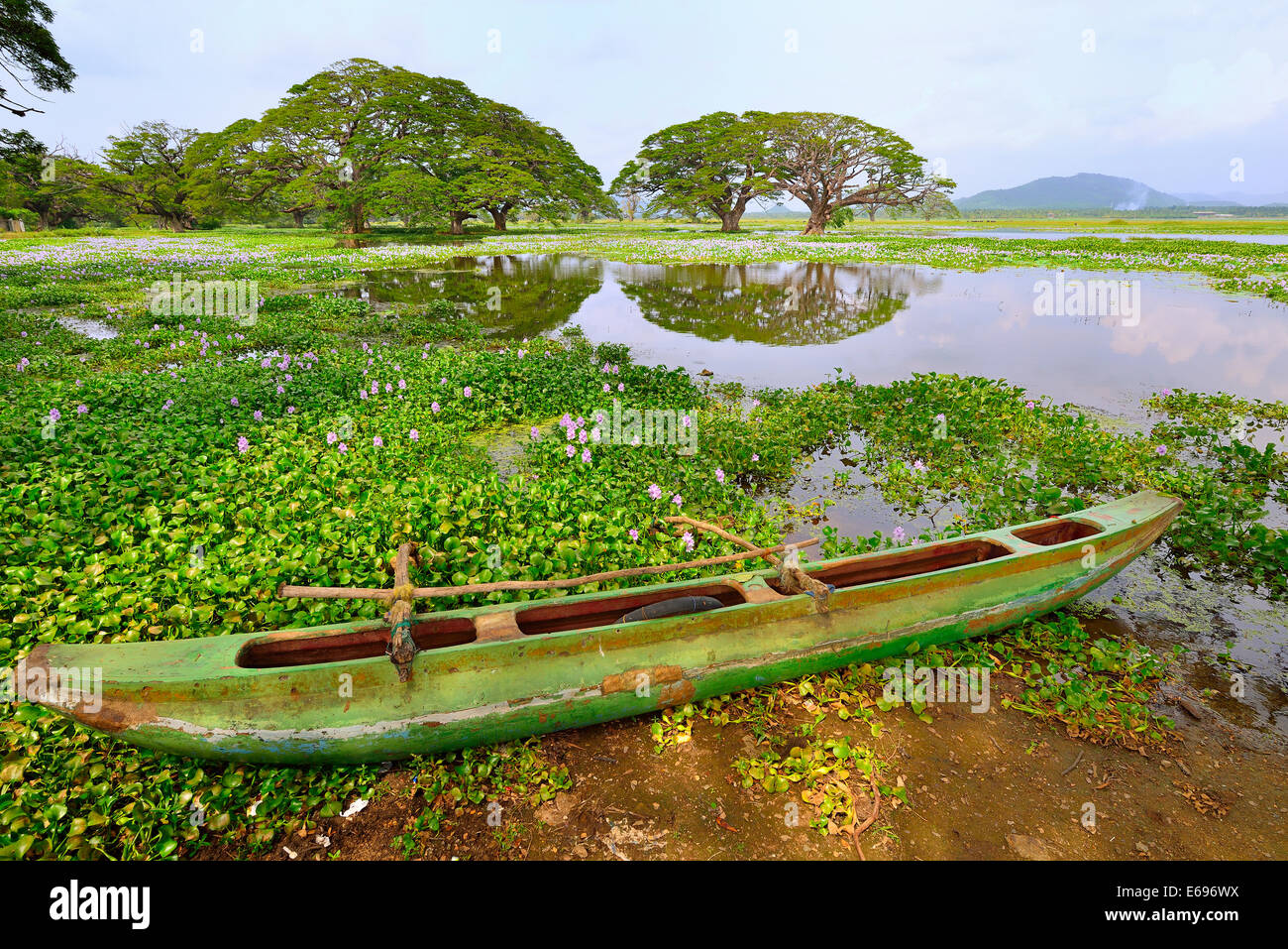 Ausleger-Kanu an den Ufern der künstliche See Tissa Wewa, Tissamaharama, südliche Provinz, Sri Lanka Stockfoto