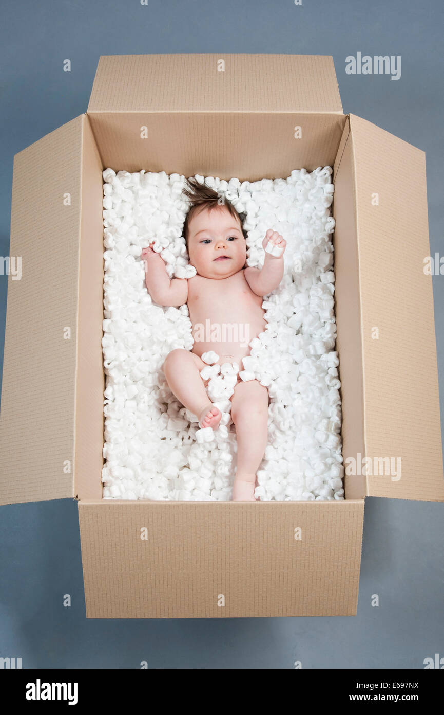 Baby, 5 Monate, in einer Box, Deutschland Stockfoto