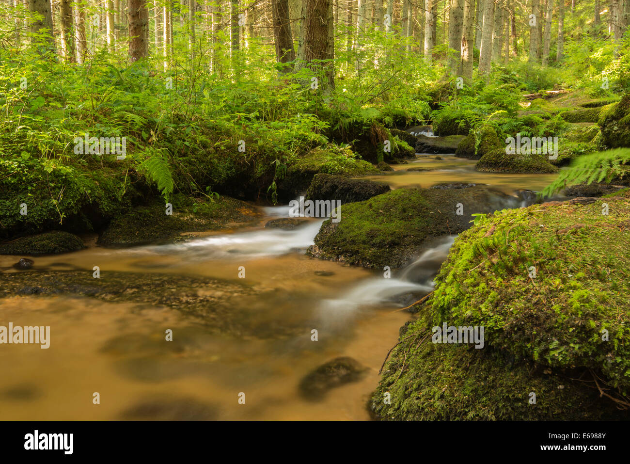 Lohnbachfälle fällt, in der Nähe von Arbesbach, Waldviertel, Wald-Viertel, Niederösterreich, Österreich Stockfoto