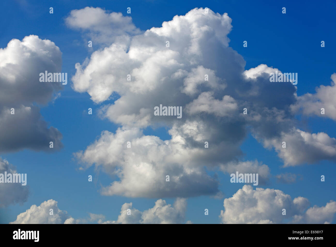 Weiße Wolken, blauer Himmel, Schleswig-Holstein, Deutschland Stockfoto