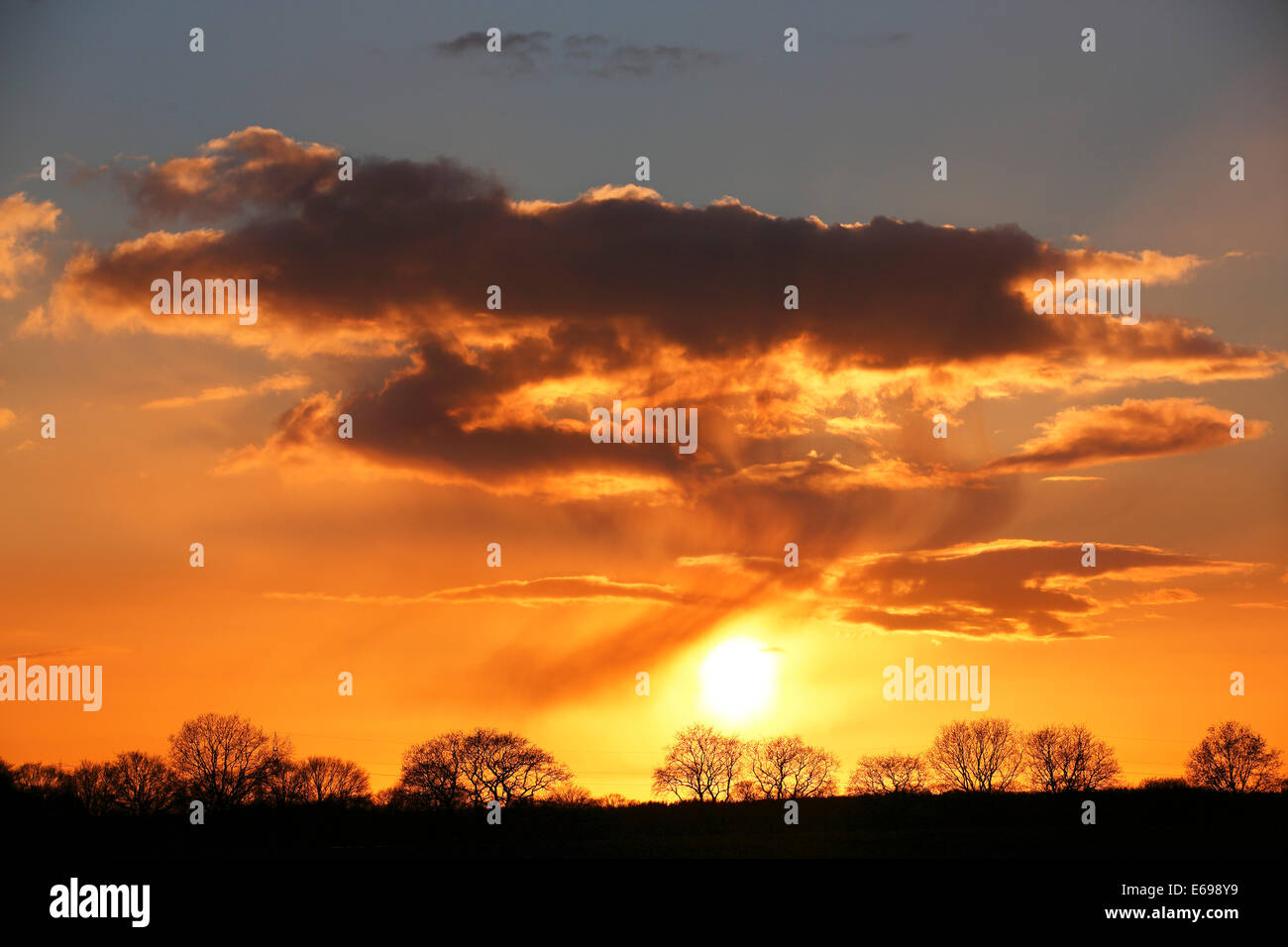 Silhouetten der Bäume gegen ein bewölkter Himmel bei Sonnenuntergang, Oberalsterniederung Nature Reserve, Tangstedt, Schleswig-Holstein, Deutschland Stockfoto